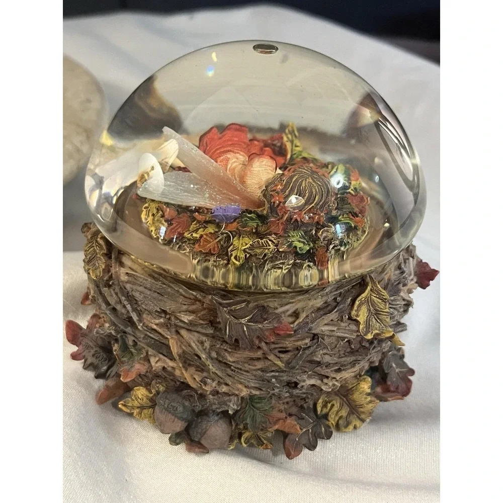 Gorgeous Boyd's Fairy 